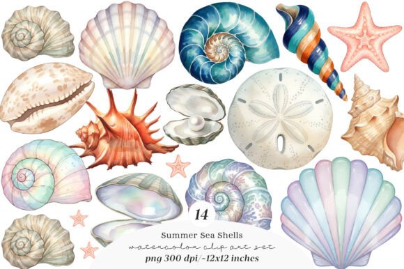 Sea Shells Clipart Bundle: Coastal Design Assets for Every Project